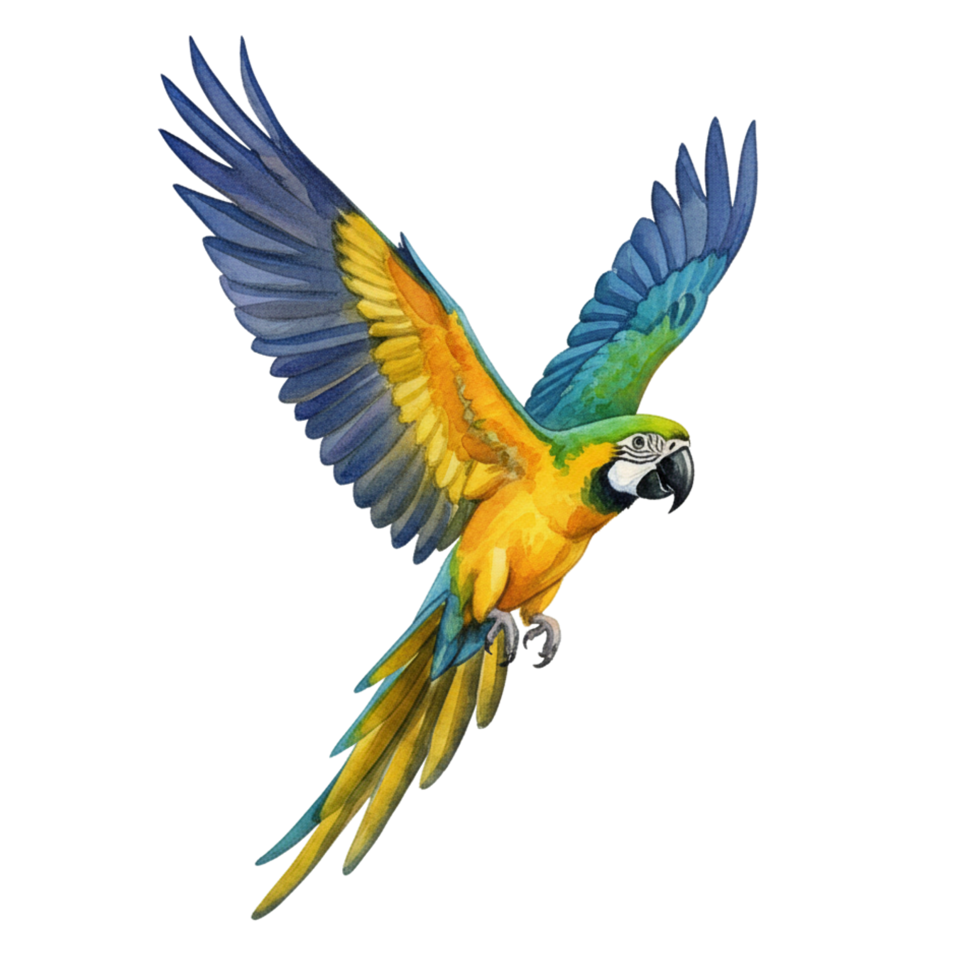 Guacamaya volando